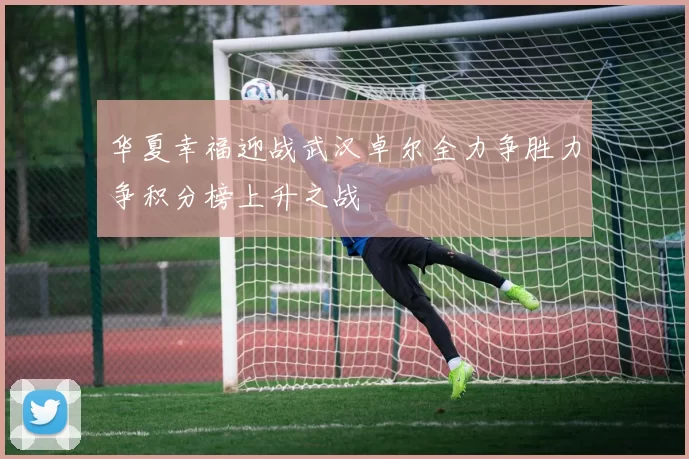 华夏幸福迎战武汉卓尔全力争胜力争积分榜上升之战