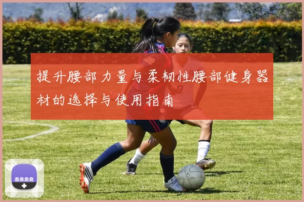 提升腰部力量与柔韧性腰部健身器材的选择与使用指南