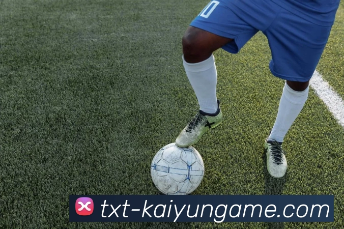 开云平台生态图